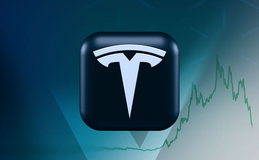 Tesla - Tulpenblase 2.0?