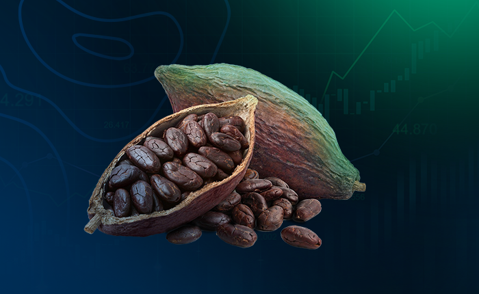 Kakaopreise vor weiterem Anstieg