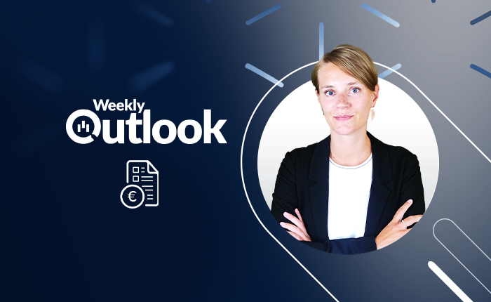 Gewinnsaison im Fokus