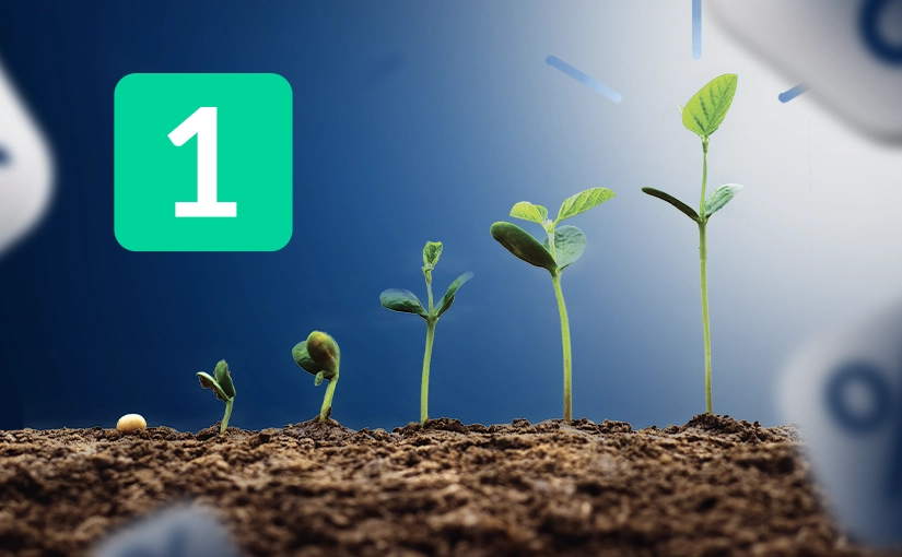 Forex trading guide: Starting small