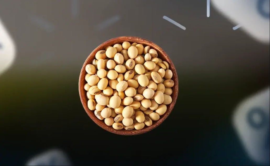 Soyban Futures – der Markt dürfte überversorgt bleiben, die Sojabohne schwächelt